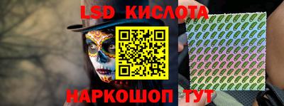 спайс Кандалакша