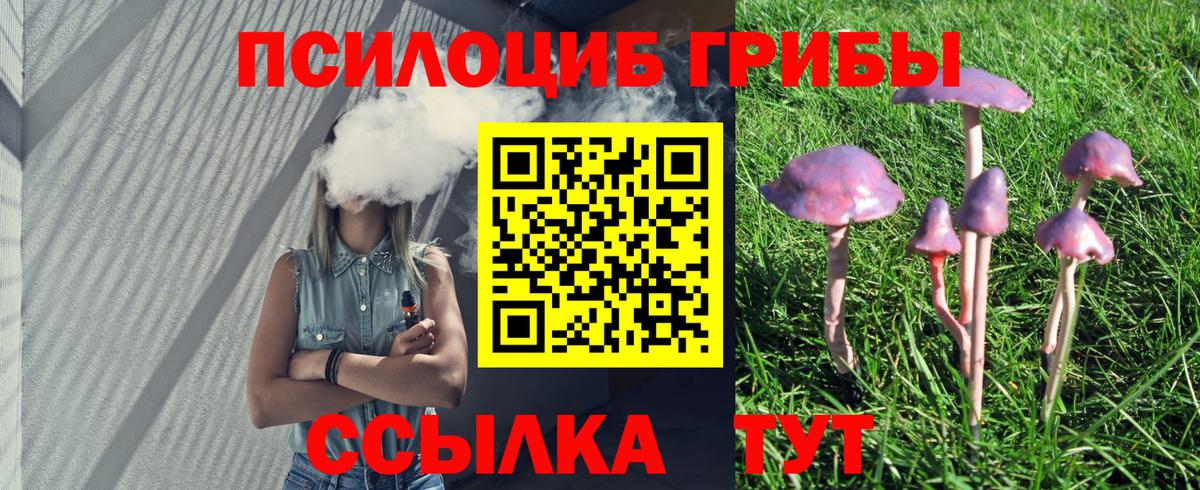Галлюциногенные грибы Cubensis Черкесск