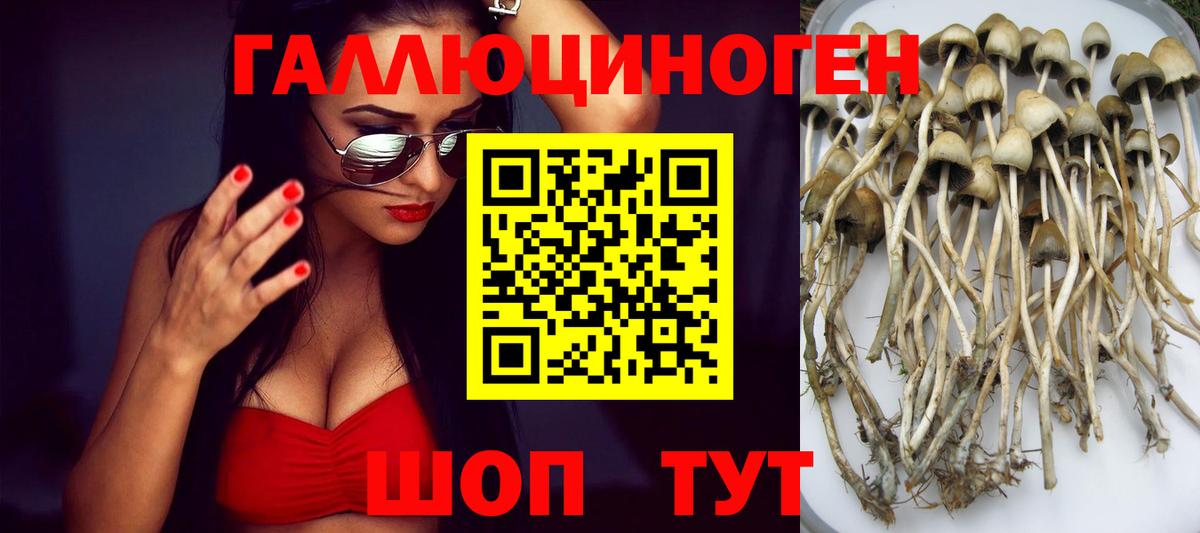 Псилоцибиновые грибы ЛСД  Вход с VPN  Черкесск 